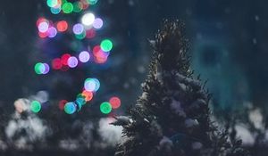 Preview wallpaper tree, snow, lights, glare, night