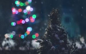 Preview wallpaper tree, snow, lights, glare, night