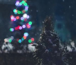Preview wallpaper tree, snow, lights, glare, night
