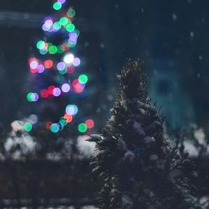 Preview wallpaper tree, snow, lights, glare, night