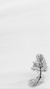 Preview wallpaper tree, snow, minimalism, bw, winter