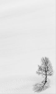 Preview wallpaper tree, snow, minimalism, bw, winter