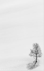 Preview wallpaper tree, snow, minimalism, bw, winter