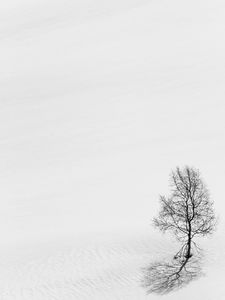 Preview wallpaper tree, snow, minimalism, bw, winter