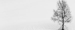 Preview wallpaper tree, snow, minimalism, bw, winter