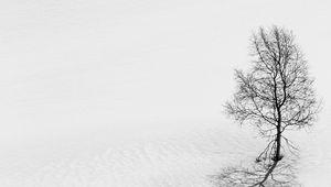 Preview wallpaper tree, snow, minimalism, bw, winter