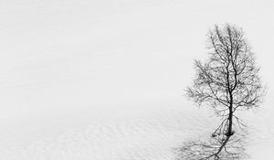 Preview wallpaper tree, snow, minimalism, bw, winter
