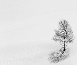 Preview wallpaper tree, snow, minimalism, bw, winter