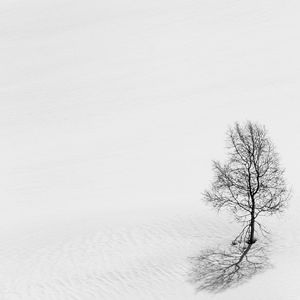 Preview wallpaper tree, snow, minimalism, bw, winter