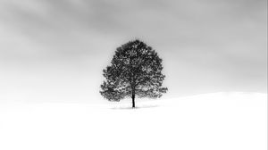 Preview wallpaper tree, snow, minimalism, bw, nature