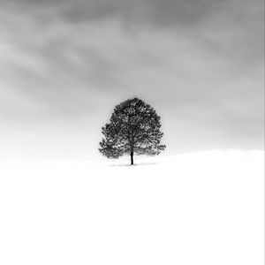 Preview wallpaper tree, snow, minimalism, bw, nature