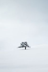 Preview wallpaper tree, snow, minimalism, winter, white