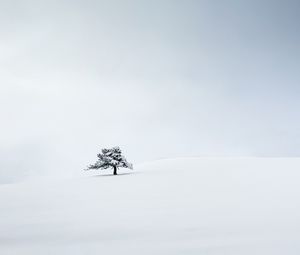 Preview wallpaper tree, snow, minimalism, winter, white