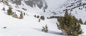 Preview wallpaper tree, snow, mountain, slope