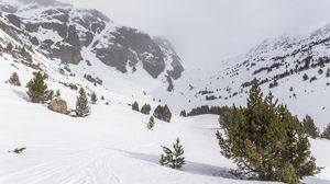 Preview wallpaper tree, snow, mountain, slope