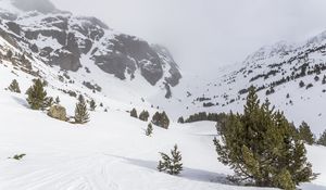 Preview wallpaper tree, snow, mountain, slope