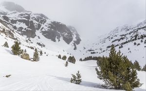 Preview wallpaper tree, snow, mountain, slope