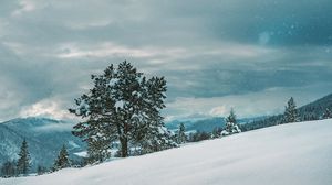 Preview wallpaper tree, snow, winter