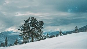 Preview wallpaper tree, snow, winter