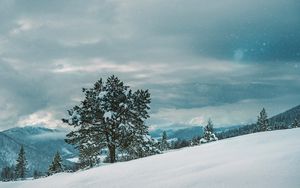 Preview wallpaper tree, snow, winter