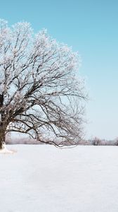 Preview wallpaper tree, snow, winter, snowy, sky, horizon