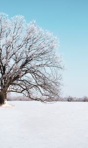 Preview wallpaper tree, snow, winter, snowy, sky, horizon