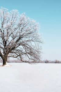 Preview wallpaper tree, snow, winter, snowy, sky, horizon