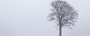 Preview wallpaper tree, snow, winter, minimalism, bw