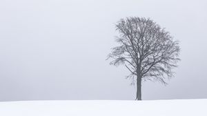 Preview wallpaper tree, snow, winter, minimalism, bw