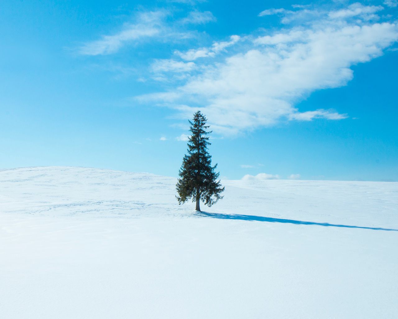 Download wallpaper 1280x1024 tree, snow, winter, horizon, sky standard ...