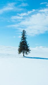 Preview wallpaper tree, snow, winter, horizon, sky