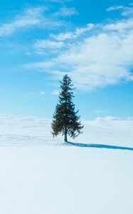 Preview wallpaper tree, snow, winter, horizon, sky