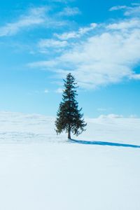 Preview wallpaper tree, snow, winter, horizon, sky