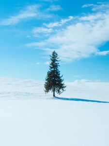 Preview wallpaper tree, snow, winter, horizon, sky