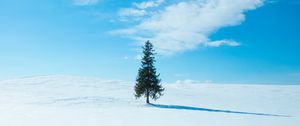 Preview wallpaper tree, snow, winter, horizon, sky
