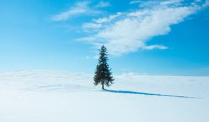 Preview wallpaper tree, snow, winter, horizon, sky