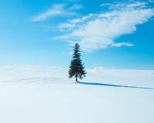 Preview wallpaper tree, snow, winter, horizon, sky