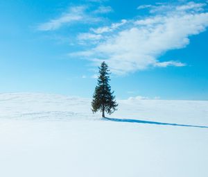 Preview wallpaper tree, snow, winter, horizon, sky