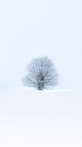 Preview wallpaper tree, snow, winter, minimalism, white