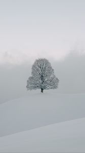 Preview wallpaper tree, snow, winter, nature, white