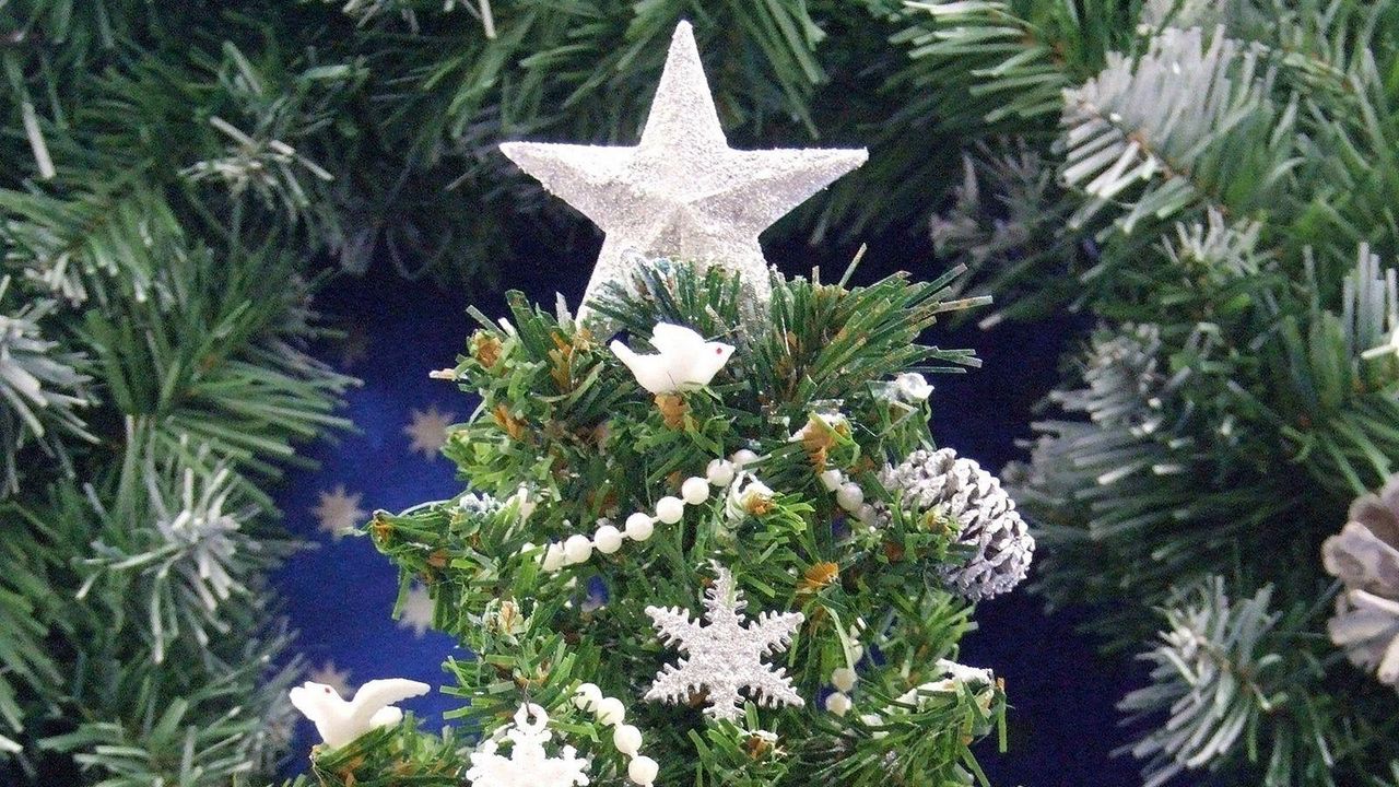 Wallpaper tree, star, jewelry, holiday mood, new year