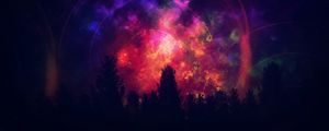 Preview wallpaper tree, starry sky, colorful, bright, outlines