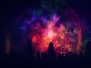 Preview wallpaper tree, starry sky, colorful, bright, outlines