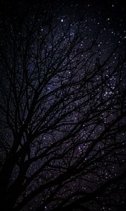 Preview wallpaper tree, starry sky, dark, night