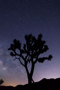 Preview wallpaper tree, starry sky, evening, stars, silhouette