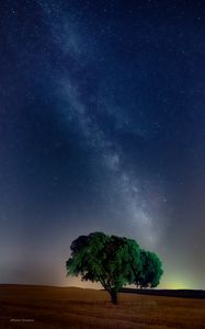 Preview wallpaper tree, starry sky, field, night, grass