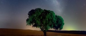 Preview wallpaper tree, starry sky, field, night, grass