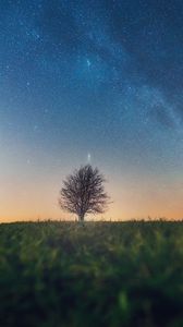 Preview wallpaper tree, starry sky, grass, horizon