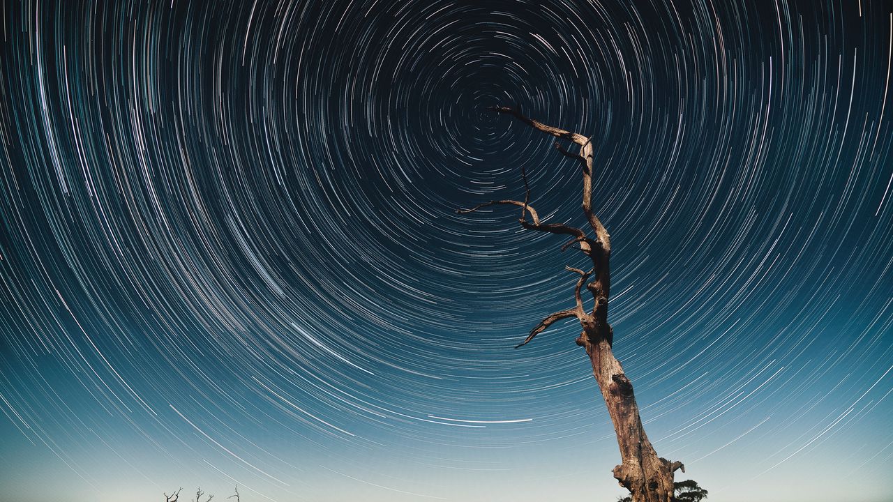 Wallpaper tree, starry sky, long exposure, stars, movement, kaleidoscope