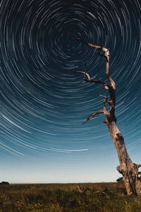 Preview wallpaper tree, starry sky, long exposure, stars, movement, kaleidoscope